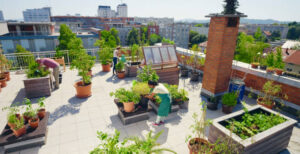 Urban gardening